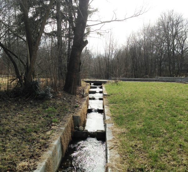 m-freisinglandstrasse-bestandsfoto-2